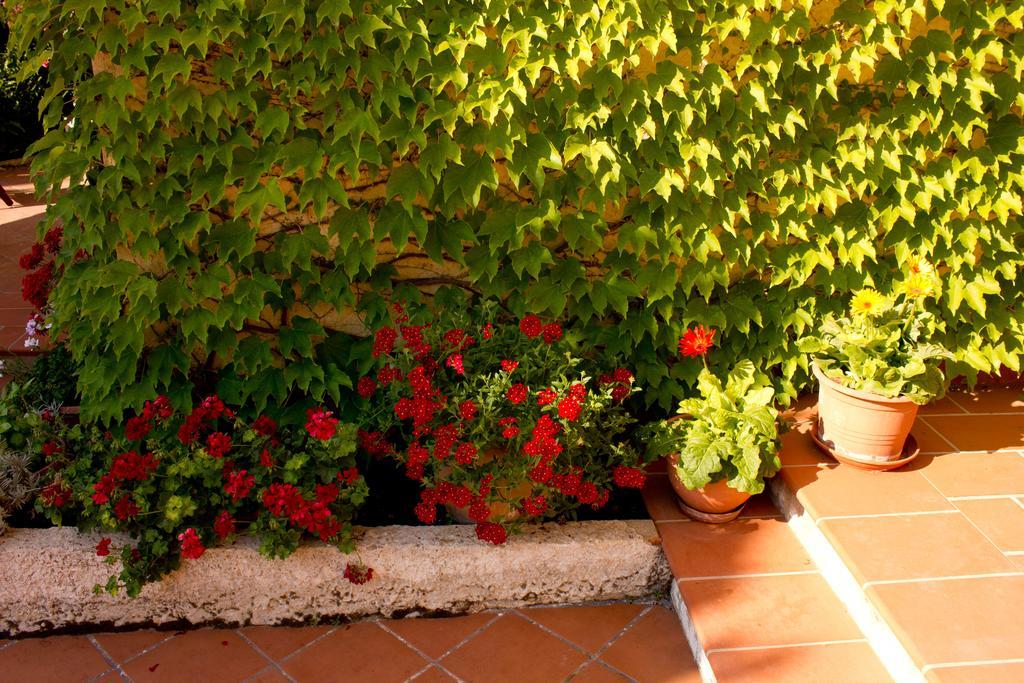 Casa Del Falso Pepe - Scala Dei Turchi Realmonte Buitenkant foto
